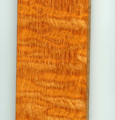 Kemper Wood.jpg