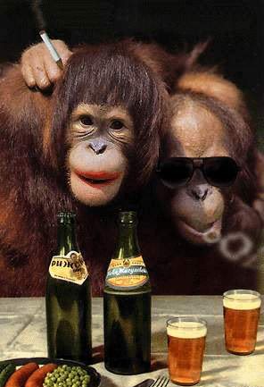 Monk & Mrs. Monk.jpg