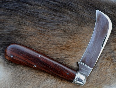 Keene Napanoch hawkbill.jpg