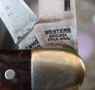 western_657_tang_scaled.jpg
