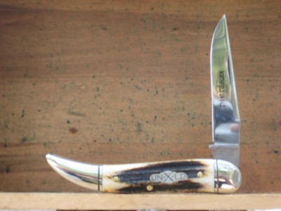 Stag GECs5.jpg