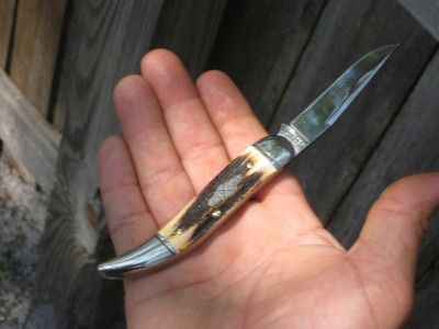 Stag GECs 7.jpg