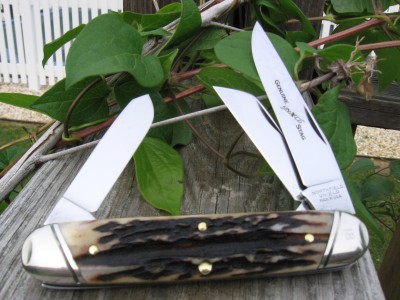 GEC #538311 Genuine Stag f.JPG