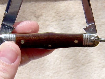 northfieldkauri8.jpg