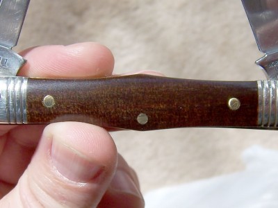 northfieldkauri2.jpg