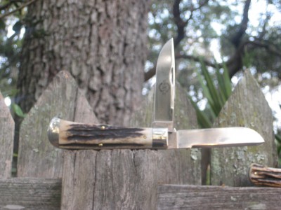 gen stag 235210 1.jpg