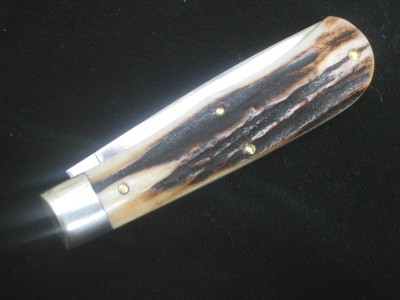 735108 gen stag 2.jpg