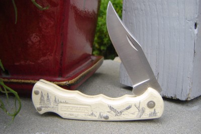 Buck%20422.JPG