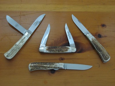 Elk 004.JPG
