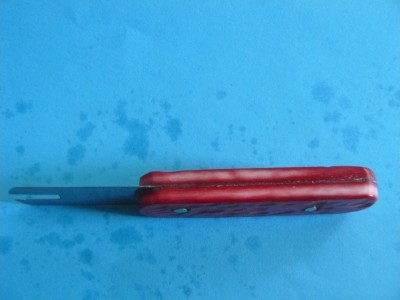 P1000681.JPG