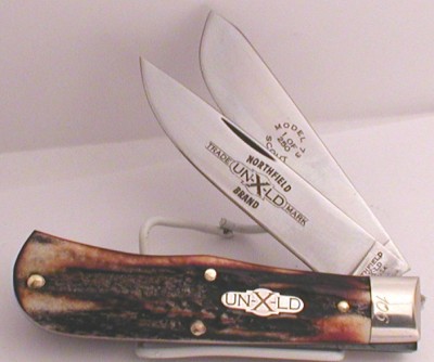 great eastern stag.JPG