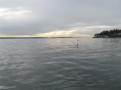 IMG_3087.JPG