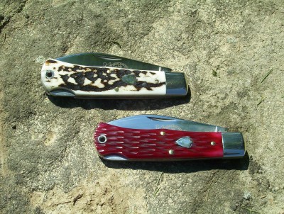 American Elk & Ruby Red  72's I.jpg