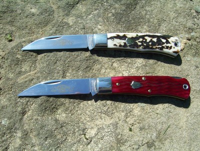American Elk & Ruby Red  72's III.jpg