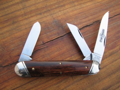 53_Kauri_01.JPG