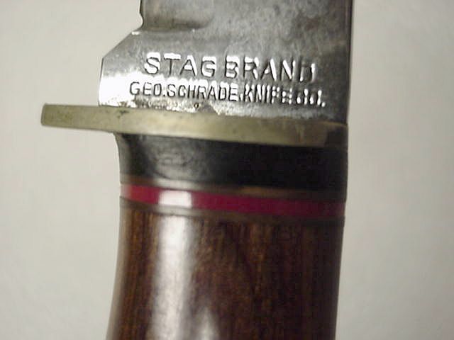 19.JPG
