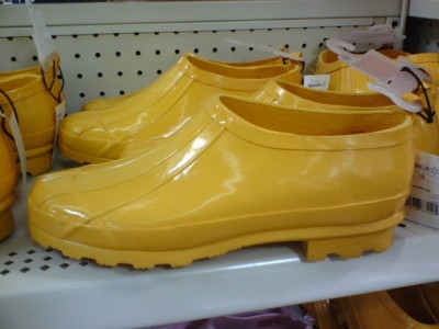 Shoes.jpg