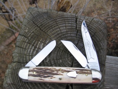 GEC 538308 American Elk.JPG