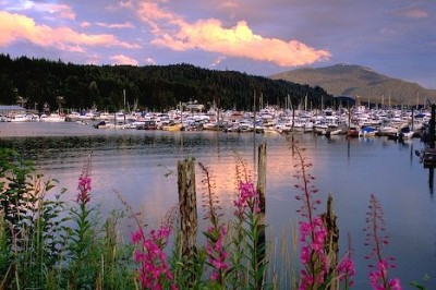 juneau-small-boat-harbor_5541.jpg