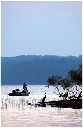 Lake Murray.jpg