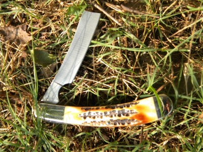 bear and son 4' stag razor