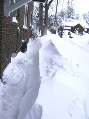 Drift Beside the House.JPG