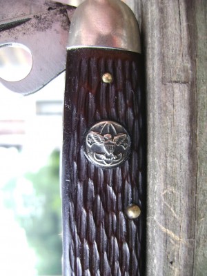Ulster Scout Scout Shield.JPG