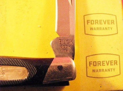 2010 Buck 309.jpg