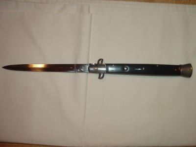 AKC 13 HORN.jpg
