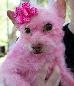Pink is good in the RIGHT PLACES
