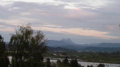 PICT0001.JPG