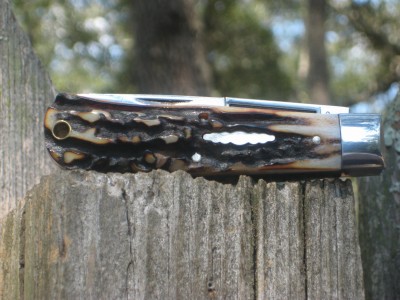stag gec #2.jpg