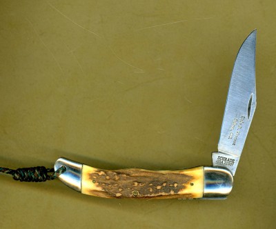 123OT -custom with stag.jpg