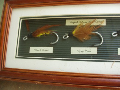 trout 007.JPG