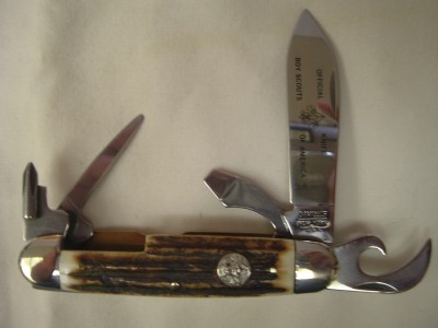 Stag Scout 037.JPG