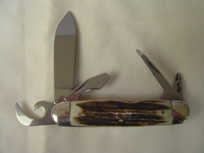 Stag Scout 035.JPG