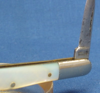 ter1.jpg