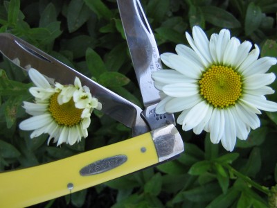 flowerknife 027.JPG