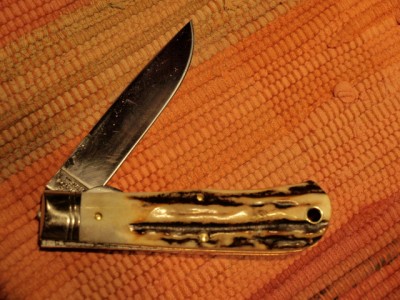 235111L Burnt Stag B.jpg