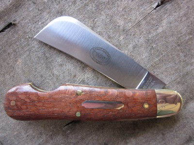 lacewood7.JPG