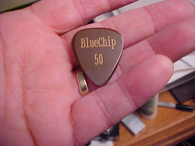 Blue Chip Pick.JPG