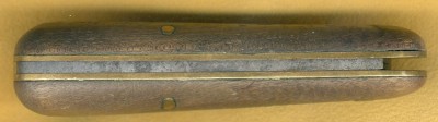 SchradeBananaBack.jpg